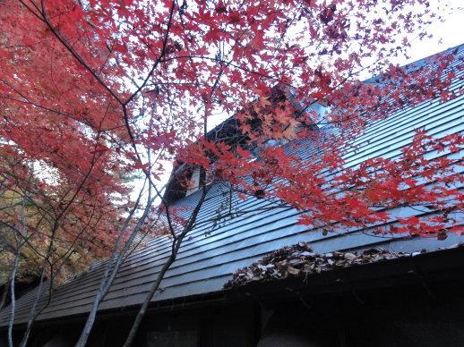 DSC08584.jpg DSC08584.jpg