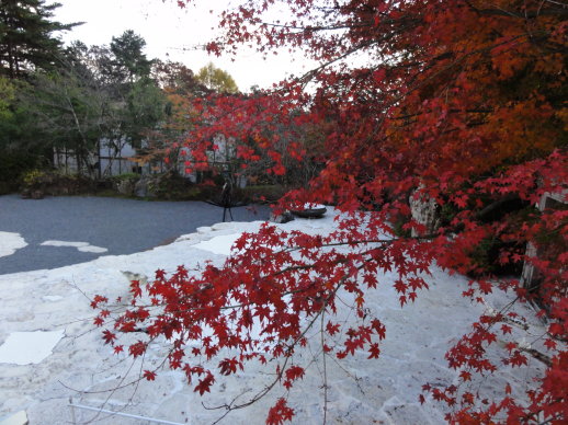 DSC08589.jpg DSC08589.jpg