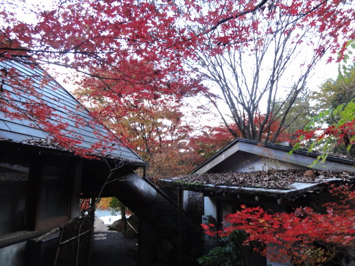 DSC08581.jpg DSC08581.jpg