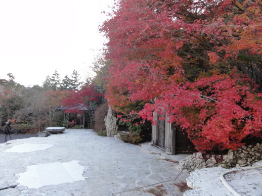 DSC08590.jpg DSC08590.jpg
