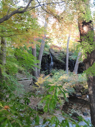 DSC08366.jpg DSC08366.jpg