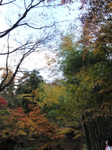 DSC08487.jpg DSC08487.jpg