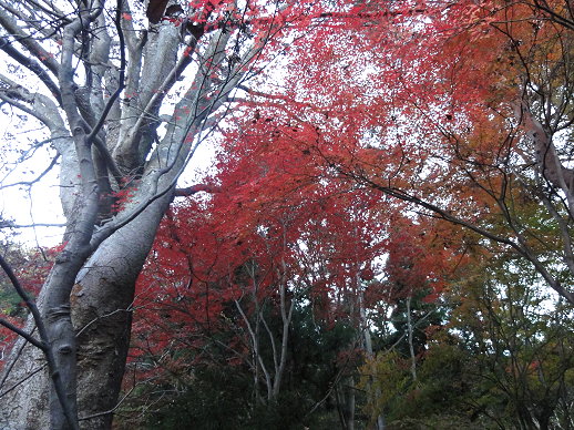 DSC08579.jpg DSC08579.jpg