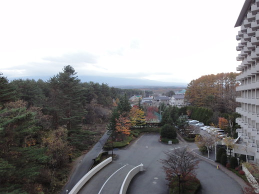 DSC08676.jpg DSC08676.jpg
