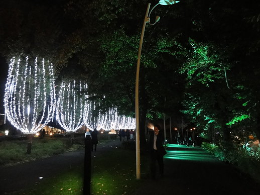 DSC08960.jpg DSC08960.jpg