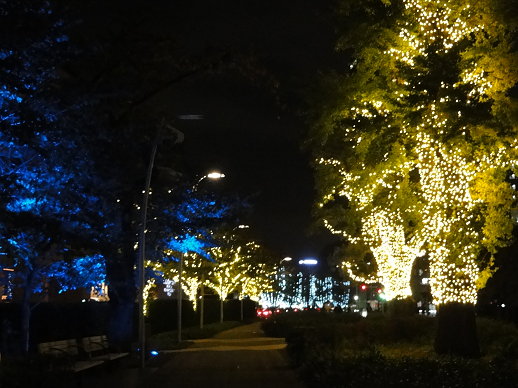 DSC08972.jpg DSC08972.jpg