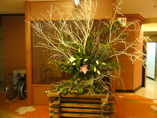 DSC01175 DSC01175