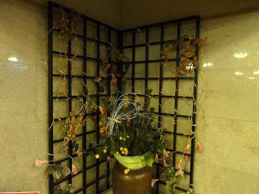 DSC01205 DSC01205