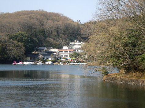 一碧湖 一碧湖