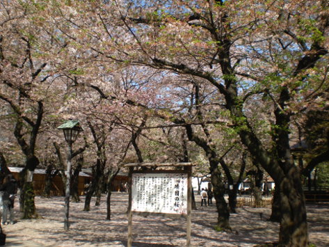 靖國神社7 靖國神社7