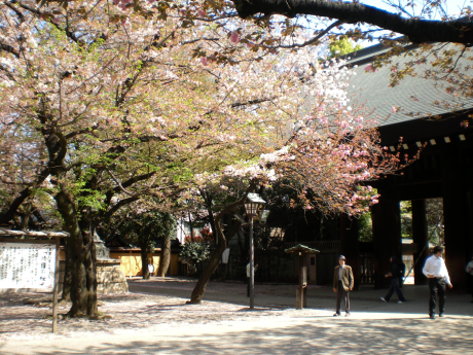 靖國神社9 靖國神社9