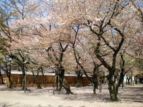 靖國神社10 靖國神社10