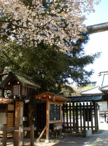 靖國神社13 靖國神社13
