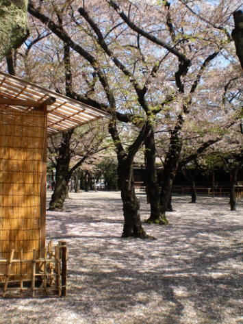 靖國神社14 靖國神社14