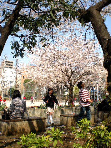 公園內 公園內