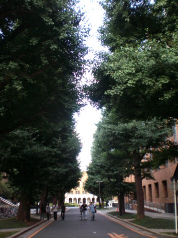 校景 校景