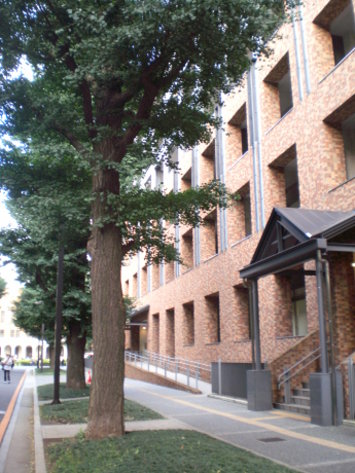 校景 校景