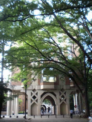 校景 校景