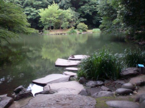 三四郎池 三四郎池