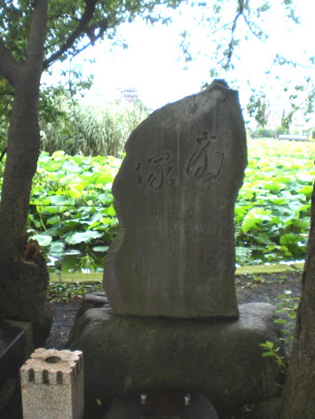 不明 不明