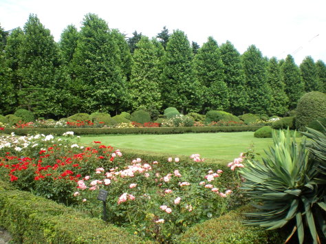 玫瑰園 玫瑰園
