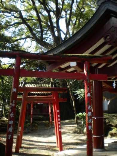 千本鳥居.jpg 千本鳥居.jpg