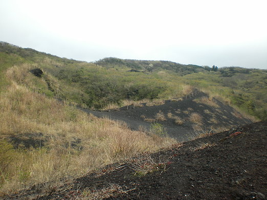 火山石.jpg 火山石.jpg
