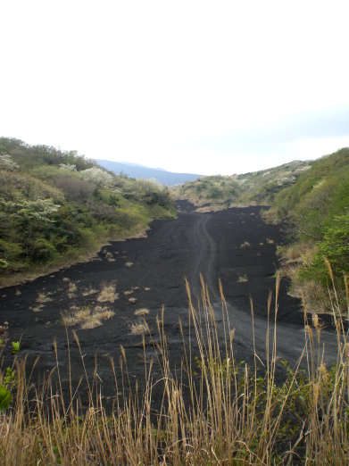 火山灰遺跡.jpg 火山灰遺跡.jpg