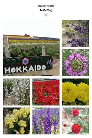 img1406774986536.jpg img1406774986536.jpg