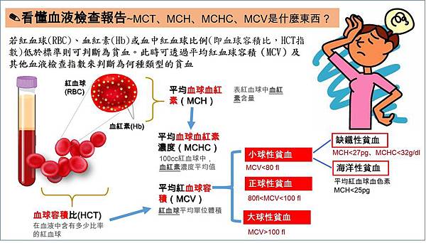 看懂血液檢查指數判斷貧血