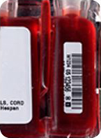 抗凍血袋.jpg 抗凍血袋.jpg