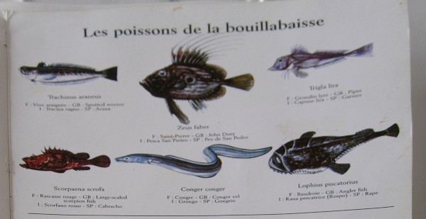 13.jpg 13.jpg