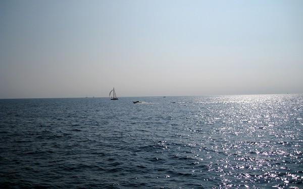 29.jpg 29.jpg