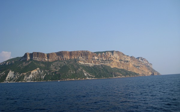 31.jpg 31.jpg