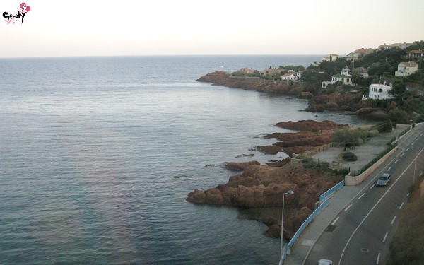 IMG_2262 IMG_2262