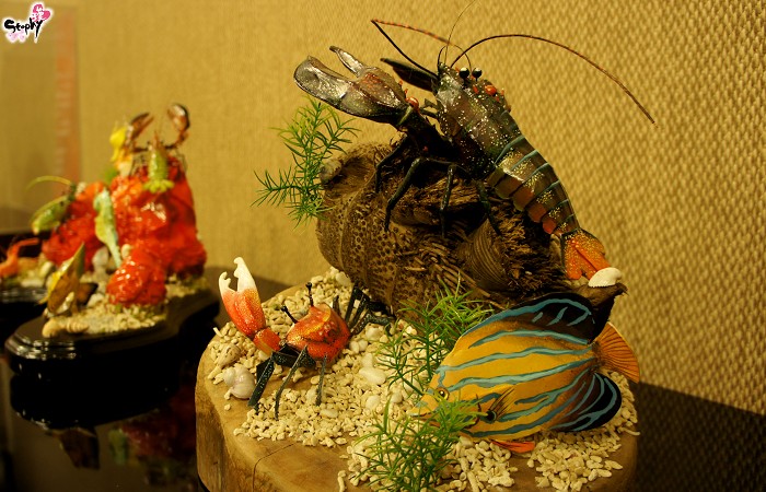 DSC01242 DSC01242