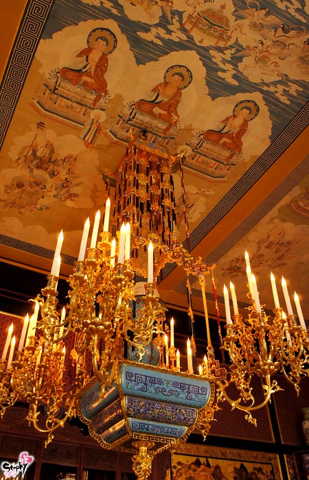 DSC02253 DSC02253