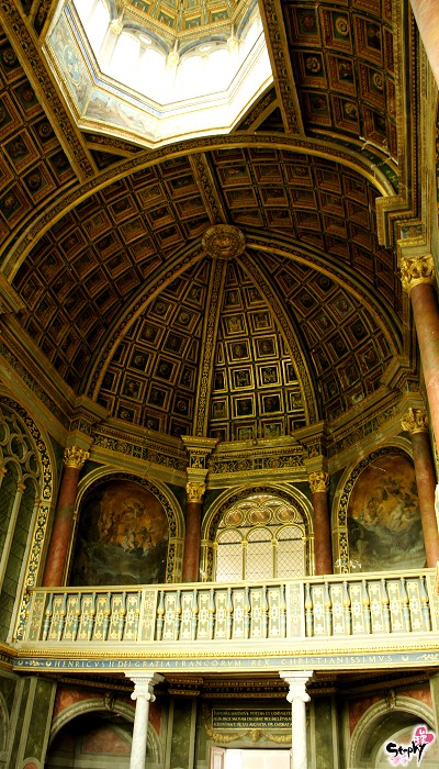 DSC02295 DSC02295