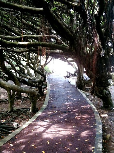IMG_0078.jpg IMG_0078.jpg