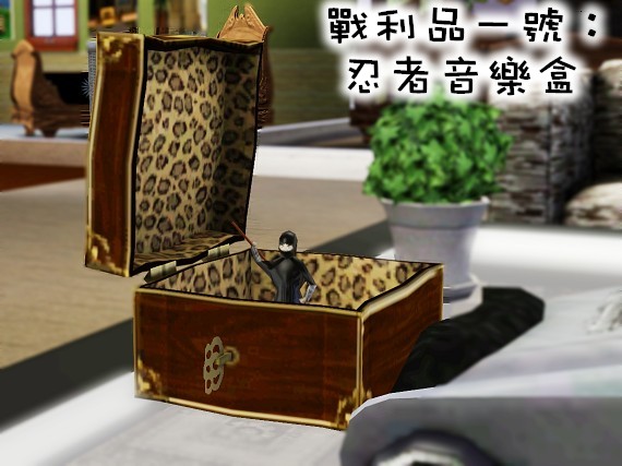 7.jpg 7.jpg