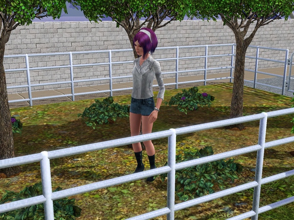 Screenshot-721.jpg Screenshot-721.jpg