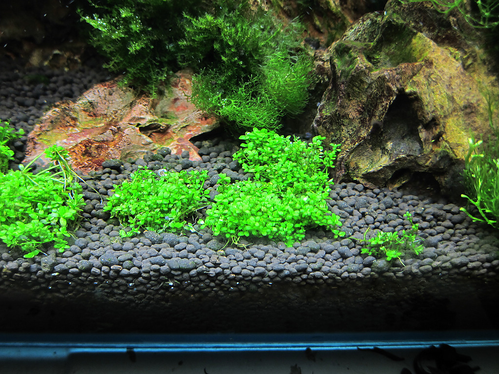 IMG_8276.jpg IMG_8276.jpg