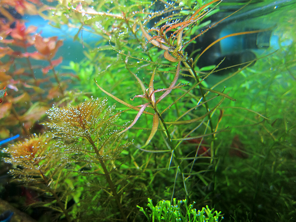 IMG_8279.jpg IMG_8279.jpg