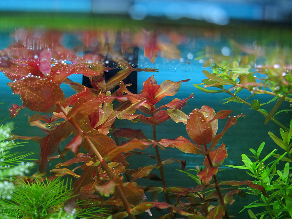 IMG_8280.jpg IMG_8280.jpg