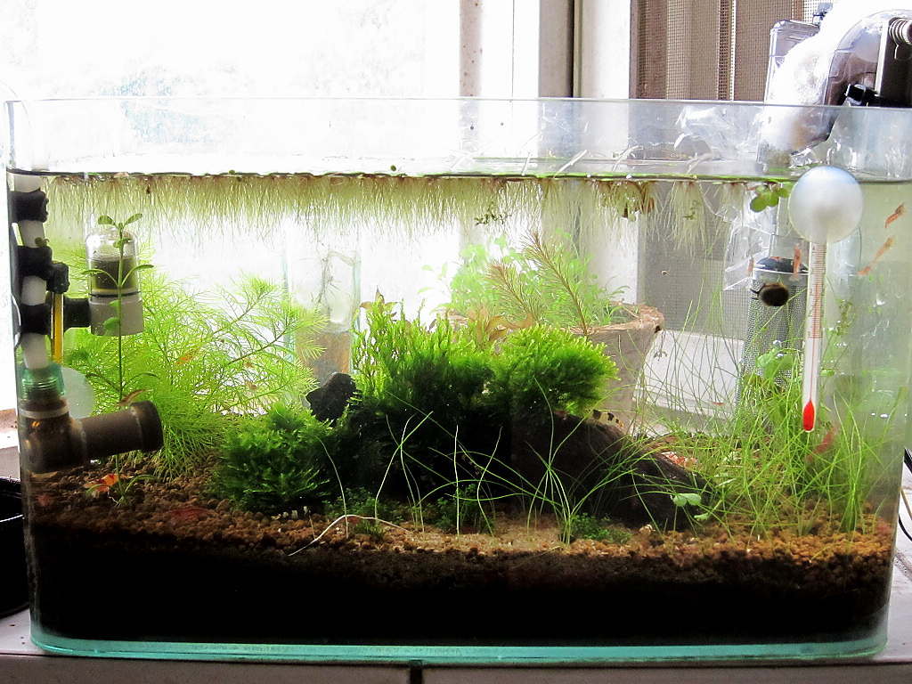 IMG_8393.jpg IMG_8393.jpg