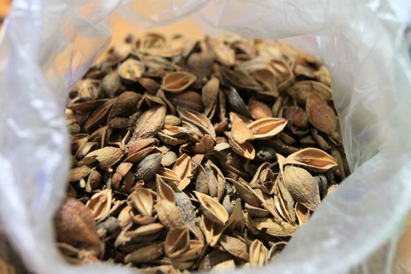 IMG_7977.JPG IMG_7977.JPG