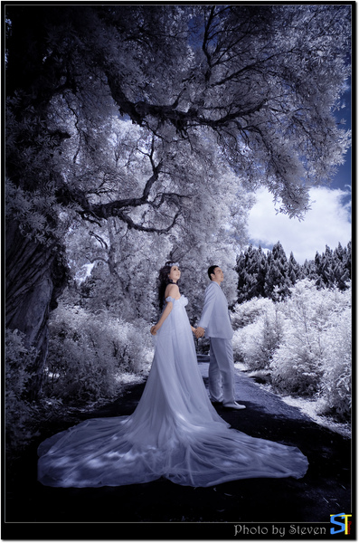 DSCF0002.jpg DSCF0002.jpg