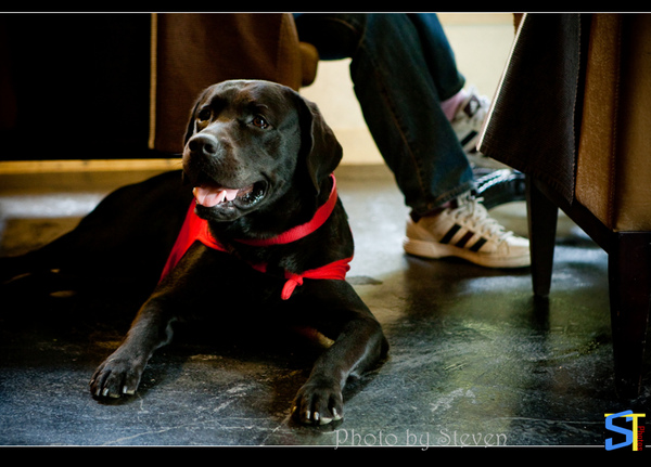 6O7C0729.jpg 6O7C0729.jpg