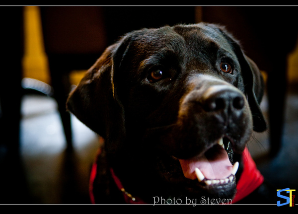 6O7C0734.jpg 6O7C0734.jpg