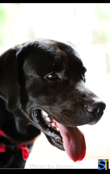 6O7C0740.jpg 6O7C0740.jpg